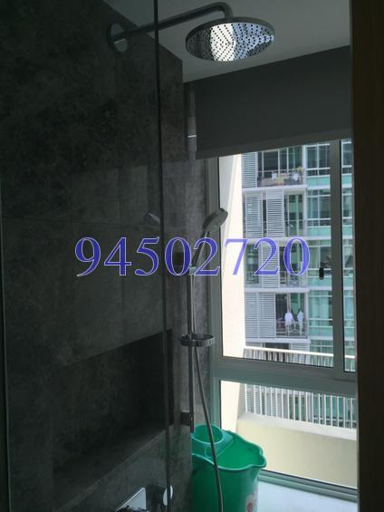 The Peak @ Cairnhill I (D9), Apartment #148659512